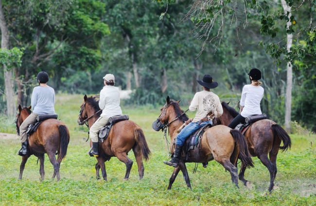 Horse riders