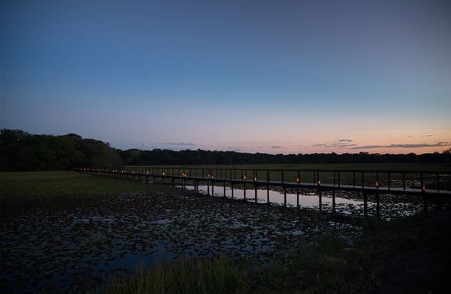 Wildlife Boardwalk Caiman Lodge