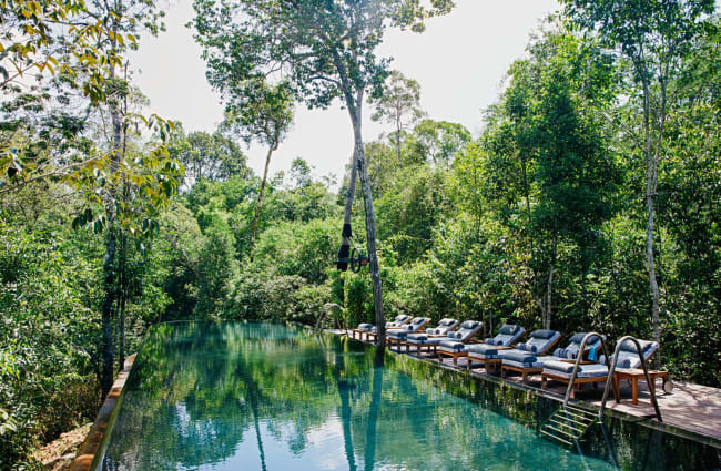 Pool surrounded by trees