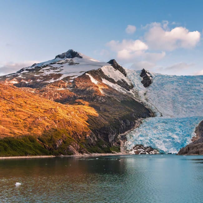 Antarctica Iceberg Guide: An A23a - Z | Antarctica Cruises