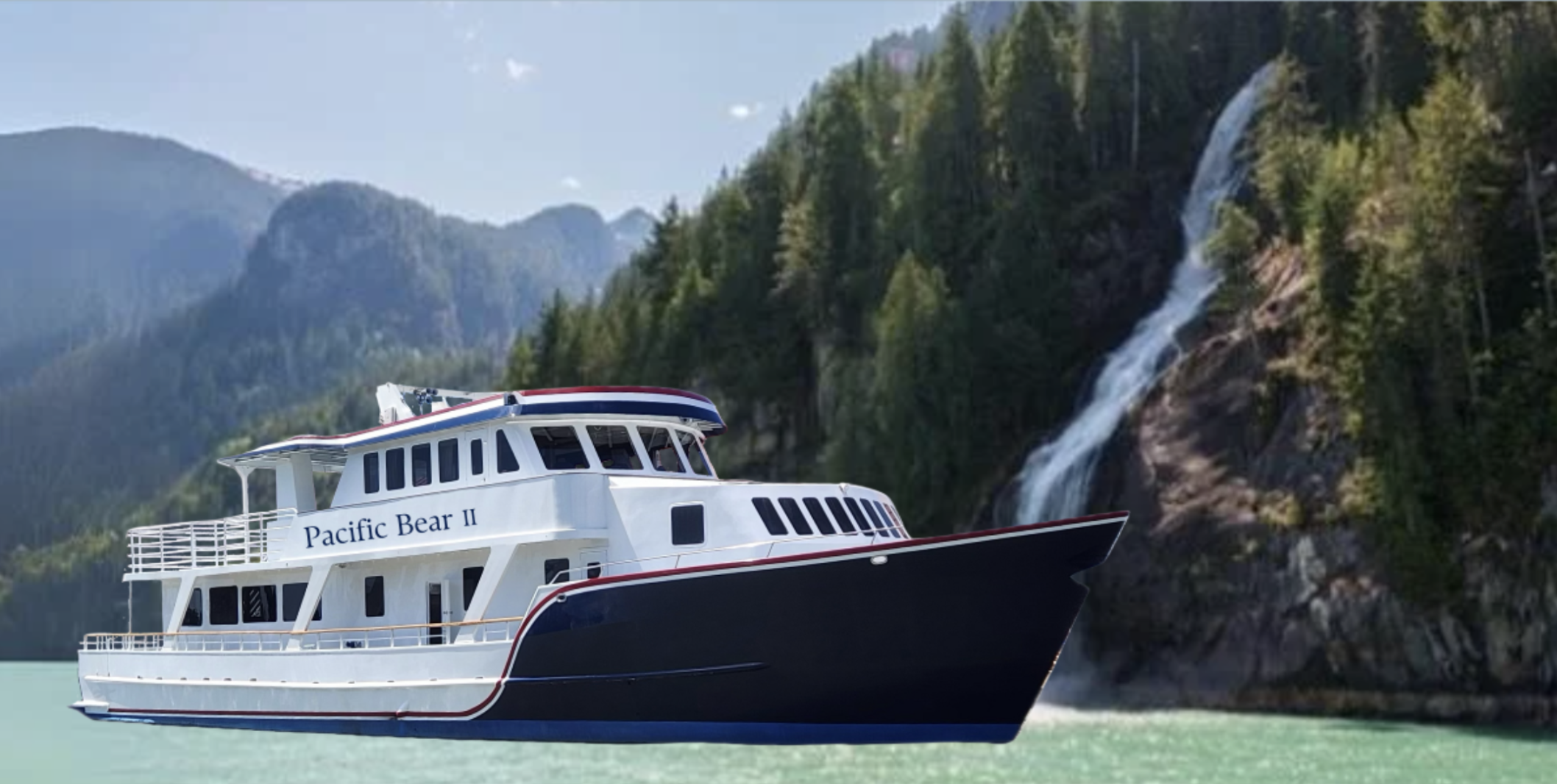 pacific bear II