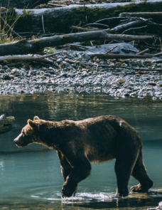 desolation sound cruises intro