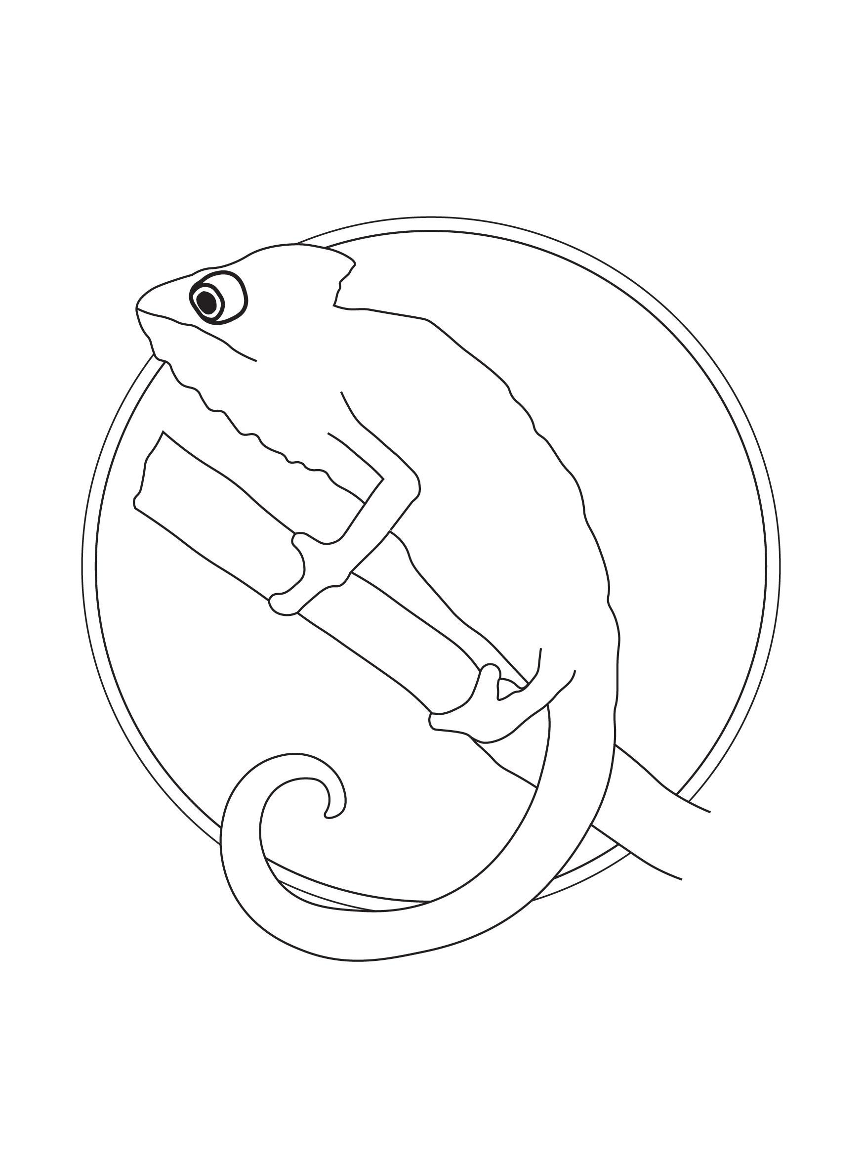 Chameleon