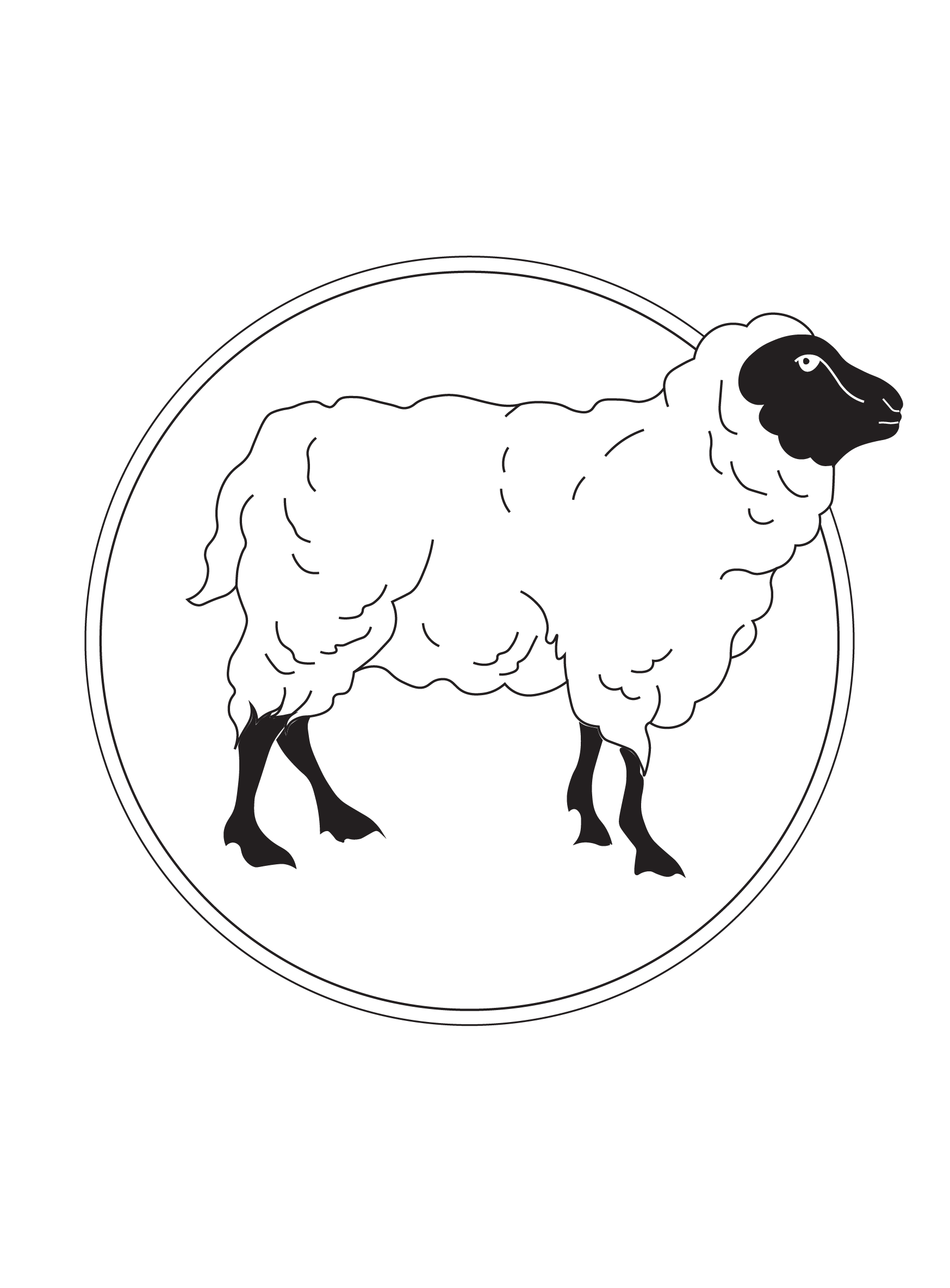 White Sheep