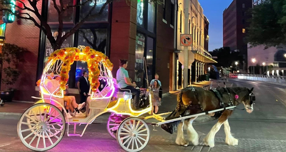 The Cavalry Group | Sign the Petition to Keep Horse Drawn Carriages in ...