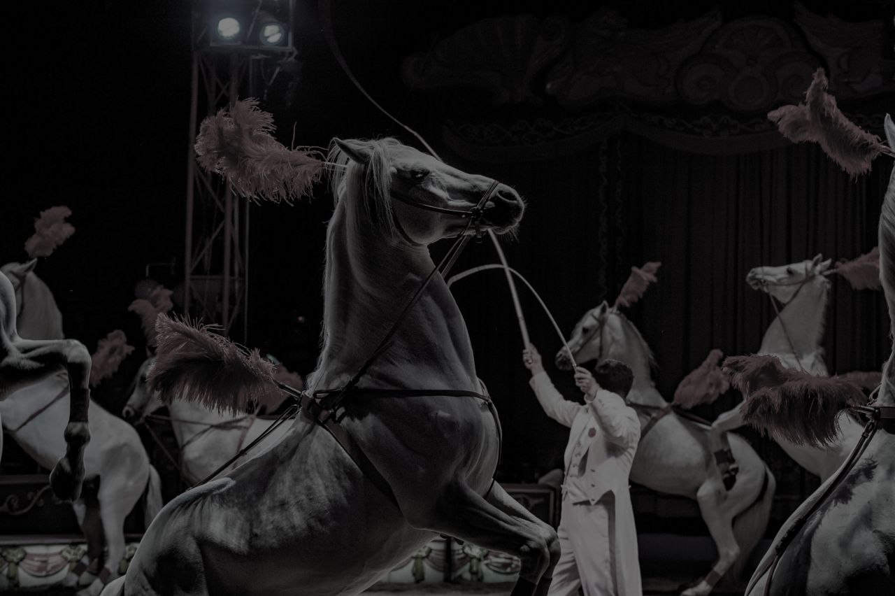 Hellzapoppin Circus Sideshow