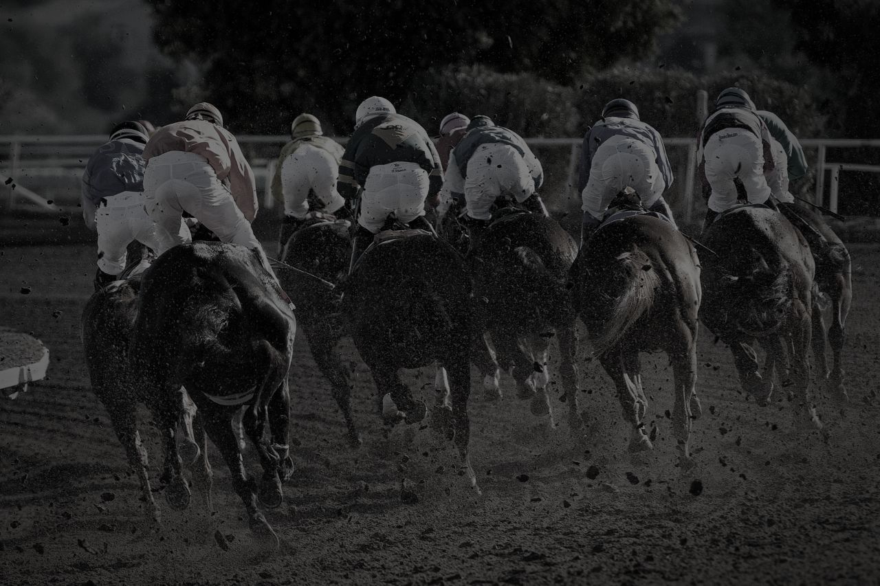 Genesee Valley Hunt Races