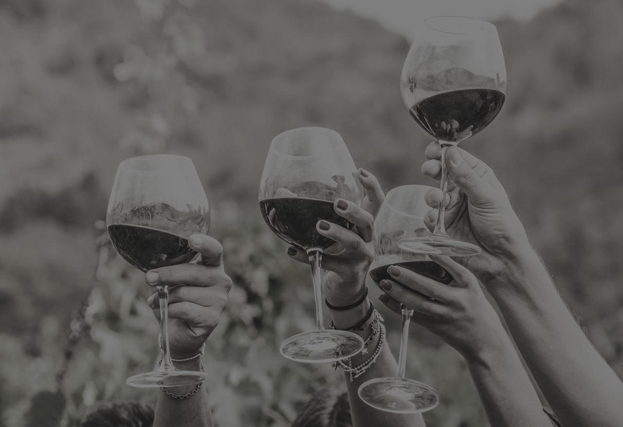 Woodinville Wine Express Nov 23 Rally Bus to Woodinville Wine Tasting