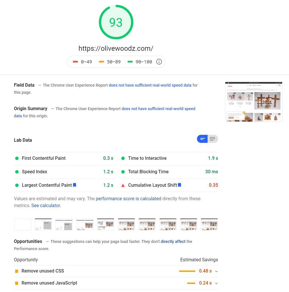 Google PageSpeed Insights Performance Test
