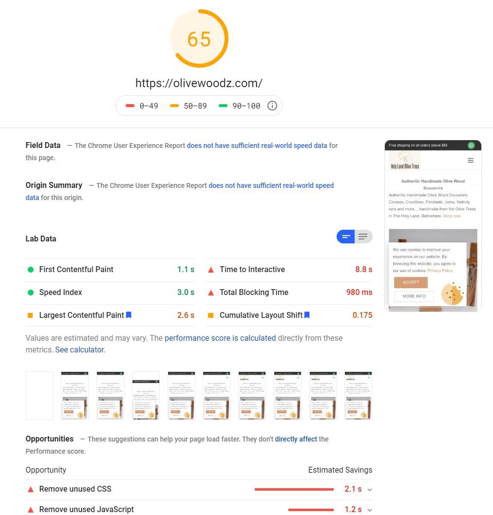 Google PageSpeed Insights Performance Test