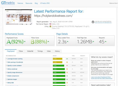 GTmetrix Performance