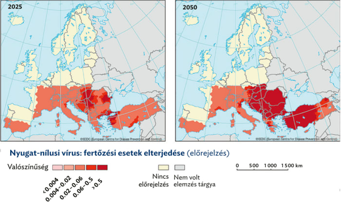 Gyors klímavédelmi intézkedések szükségesek az Európában élők egészsége érdekében | ClimeNews Gyors klímavédelmi intézkedések szükségesek az Európában élők egészsége érdekében | ClimeNews