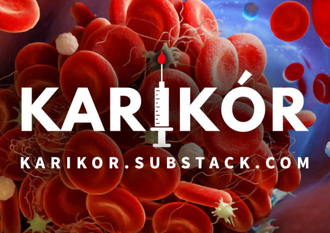 KariKór