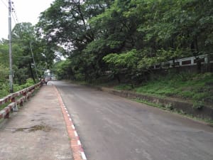 Call Girls Pahartoli