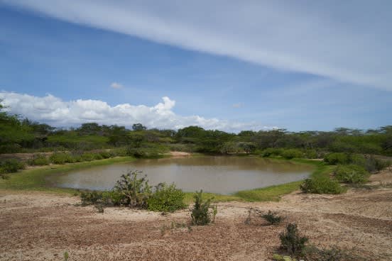 Poceta de agua