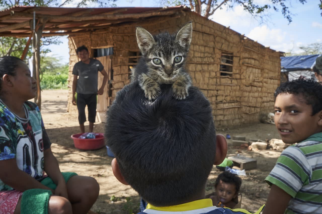 Gente y gato