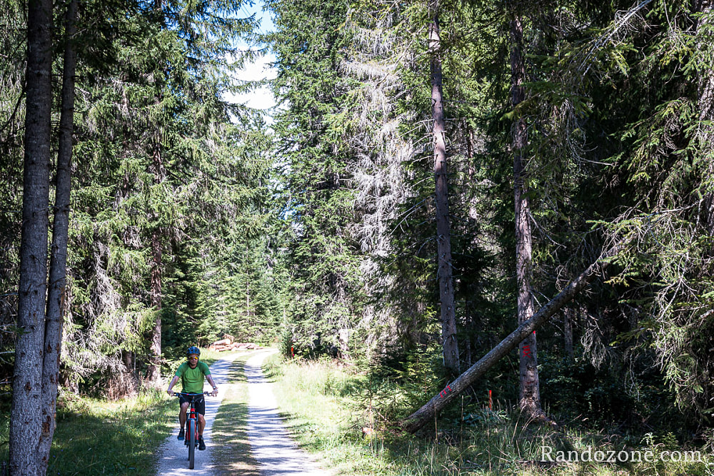 Randonnes et VTT  Seefeld in Tirol en Autriche / Photo _MG_7532