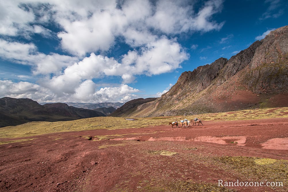 Ausangate Trek Etape 5 : Derni�re �tape du trek / Photo _MG_3796