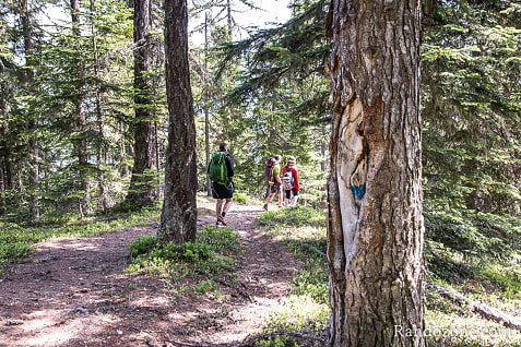 Activit�s outdoor sur la station des Arcs dans les Alpes / Photo _MG_4261