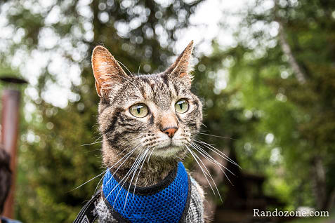Activit�s outdoor sur la station des Arcs dans les Alpes / Photo _MG_4428