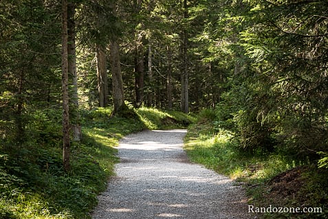 Randonnes et VTT  Seefeld in Tirol en Autriche / Photo _MG_7276