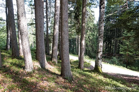 Randonnes et VTT  Seefeld in Tirol en Autriche / Photo _MG_7302