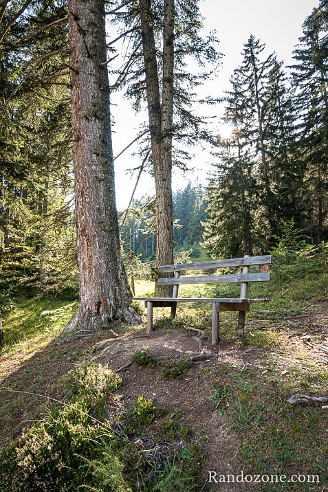 Randonnes et VTT  Seefeld in Tirol en Autriche / Photo _MG_7340