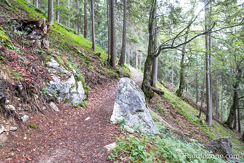 Randonnes et VTT  Seefeld in Tirol en Autriche / Photo _MG_7606