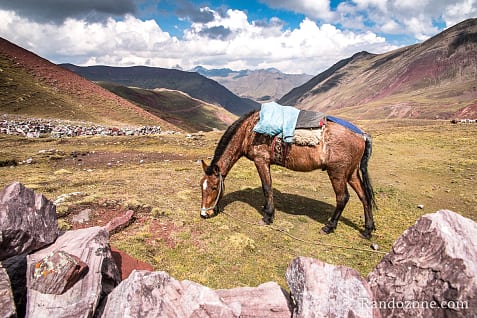 Ausangate Trek Etape 3 : Machuraccay - Anantapata / Photo 2845