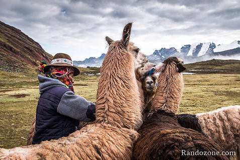 Ausangate Trek Etape 5 : Derni�re �tape du trek / Photo _MG_3680