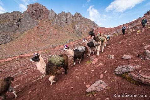 Ausangate Trek Etape 5 : Derni�re �tape du trek / Photo _MG_3771