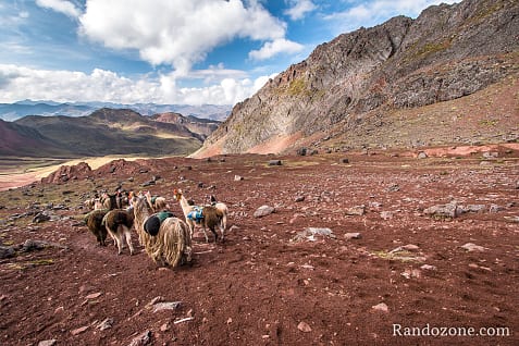 Ausangate Trek Etape 5 : Derni�re �tape du trek / Photo _MG_3775