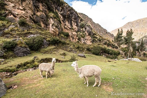 Ausangate Trek Etape 5 : Derni�re �tape du trek / Photo _MG_3849