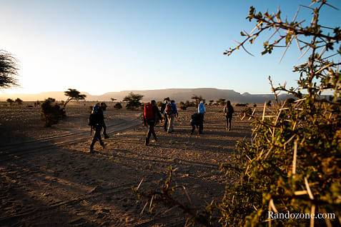 Trekking en Mauritanie : entre Ouadane et Chinguetti / Photo _MG_4834