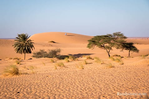 Trekking en Mauritanie : entre Ouadane et Chinguetti / Photo _MG_5038