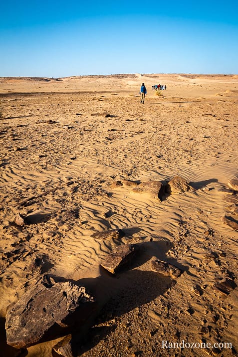 Trekking en Mauritanie : marcher dans le désert / Photo _MG_5302