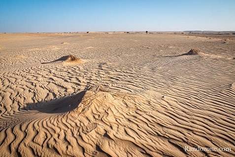Trekking en Mauritanie : marcher dans le désert / Photo _MG_5306