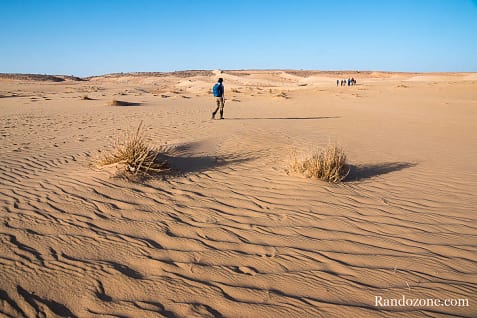 Trekking en Mauritanie : marcher dans le désert / Photo _MG_5307