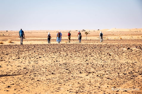 Trekking en Mauritanie : marcher dans le désert / Photo _MG_5385