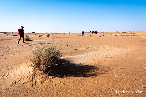 Trekking en Mauritanie : marcher dans le désert / Photo _MG_5408