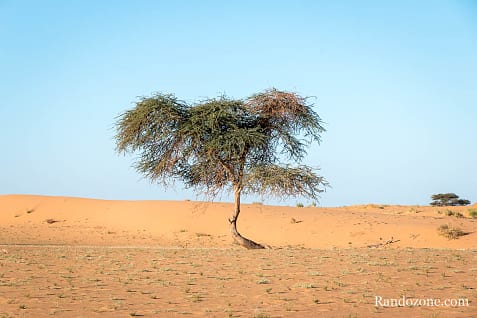 Randonne itinrante dans le dsert de Mauritanie : les derniers jours / Photo _MG_5713