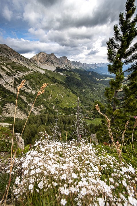 Gresse en Vercors - Richardière - Les Nonnières / Photo _MG_2839