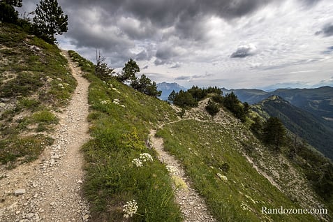 Gresse en Vercors - Richardière - Les Nonnières / Photo _MG_2848