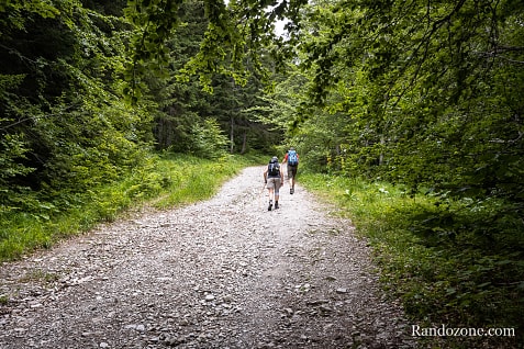 Gresse en Vercors - Richardière - Les Nonnières / Photo _MG_2883