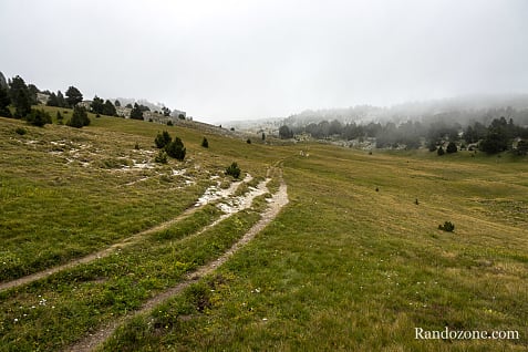 Gresse en Vercors - Richardière - Les Nonnières / Photo _MG_2967