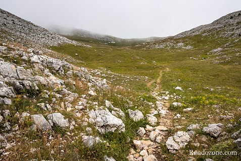 Gresse en Vercors - Richardière - Les Nonnières / Photo _MG_2987