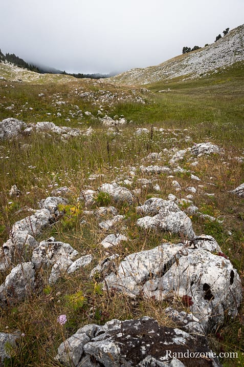 Gresse en Vercors - Richardière - Les Nonnières / Photo _MG_2997