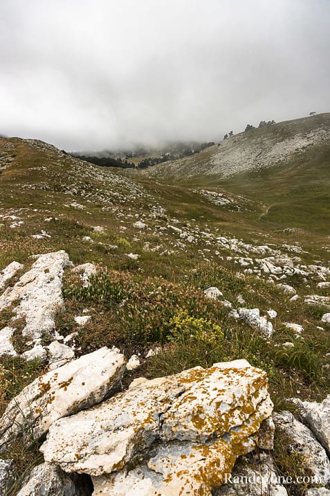Gresse en Vercors - Richardière - Les Nonnières / Photo _MG_3008