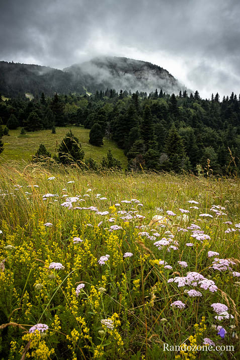 Rando  Archiane et retour  Chichilianne / Photo _MG_3157