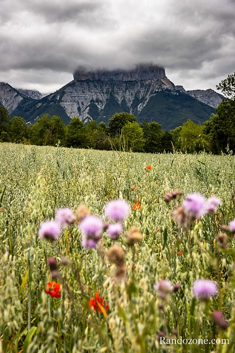 Rando  Archiane et retour  Chichilianne / Photo _MG_3243